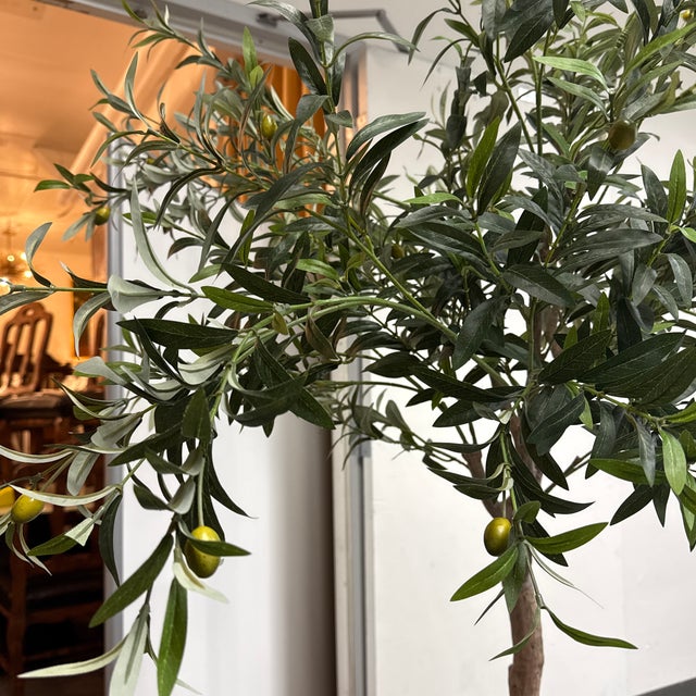 Faux Olive Tree + White Planter For Sale In San Francisco - Image 6 of 12