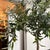 Faux Olive Tree + White Planter For Sale In San Francisco - Image 6 of 12
