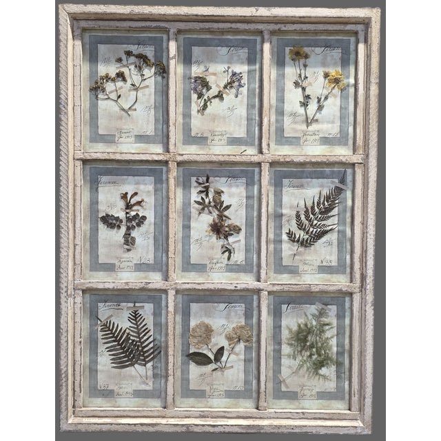 Decorative Panel with Framed Botanical Composition, 1920s For Sale - Image 13 of 14