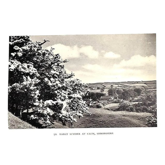 White "Rural England: A Survey of Its Chief Features" 1939 Massingham, h.j. For Sale - Image 8 of 10
