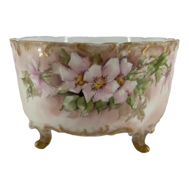 Antique Limoges Hand-Painted Footed Bowl For Sale