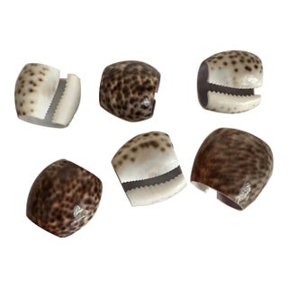 Late 20th Century Natural Tiger Cowrie Spotted Sea Shell Napkin Rings- Set of 6 For Sale