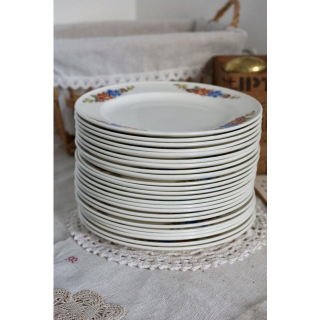 Earthenware Dessert Plates with Polychrome Floral Patterns from Royal Sphinx, Maastricht, Belgium, Set of 6 For Sale - Image 3 of 12