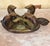 Vintage Hand-Carved Wooden Turtle Stool by e.b. Lovett For Sale - Image 14 of 18