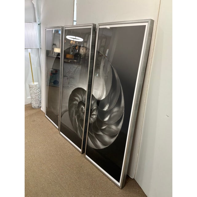 Soicher Marin Nautilus Set of 3 For Sale - Image 12 of 14