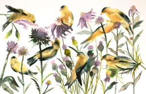 "Goldfinches" - Original Watercolor Ink Painting of Birds and Flowers by Elizabeth Becker