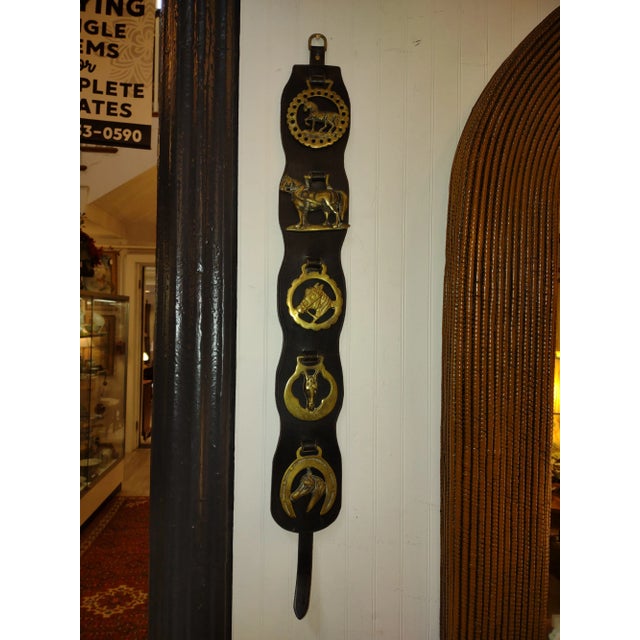 1950s English Leather and Horse Brasses Martingale 1950s For Sale - Image 5 of 5