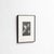Karl Blossfeldt, Natural Grace, 1942, Photogravure, Framed For Sale - Image 4 of 13