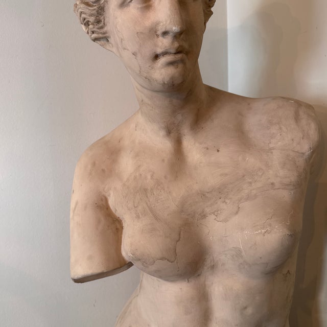 1970s Vintage Oversized Elegant Fiberglass Venus De Milo Bust For Sale - Image 9 of 12