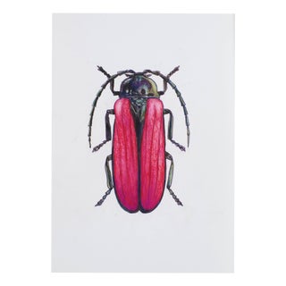 Juris Utans, Purple Beetle, 2021, Mixed Media on Paper For Sale