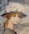 Bernard Charoy -Portrait of a Young Girl at a Beach in South of France -Oil Painting For Sale - Image 4 of 9