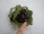 Antique Miniature Majolica Trompe l'Oeil Olives Cabbageware Basket For Sale In Richmond - Image 6 of 8