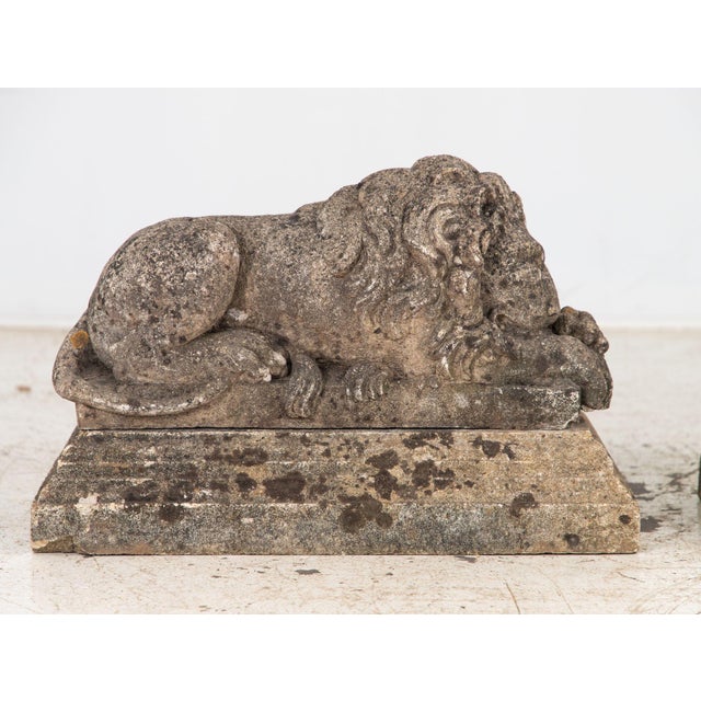 Circa 1920 English Pair of Large Recumbent Concrete Lions For Sale - Image 10 of 12