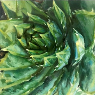 Early Morning by Emma Hirst | Oil on wood panel Close-up of a green succulent plant For Sale