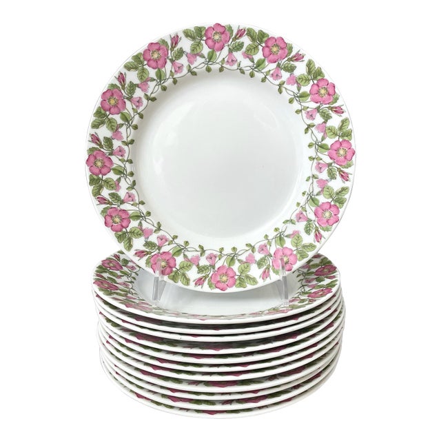 12 Gustavsberg Törnrosa (Sleeping Beauty), Salad Dessert Plates Margareta Henn For Sale
