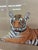 This original Tiger Art piece is in India Import and possibly mixed media. It is matted and framed in an antique frame....