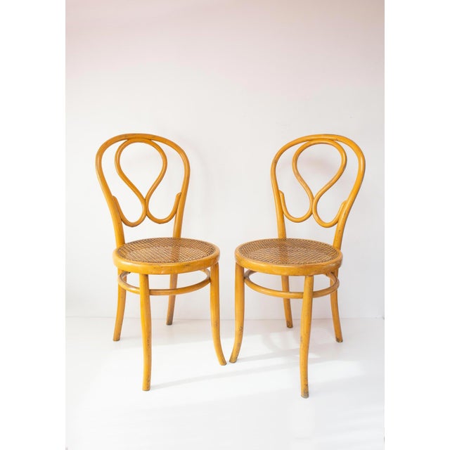 Set of Yellow Chairs by Josias Eissler & Söhne, Vienna, 1890s For Sale - Image 10 of 10