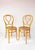 Set of Yellow Chairs by Josias Eissler & Söhne, Vienna, 1890s For Sale - Image 10 of 10