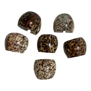Vintage Tiger Cowrie Shell Napkin Rings – Set of 6 For Sale