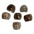 Vintage Tiger Cowrie Shell Napkin Rings – Set of 6 For Sale
