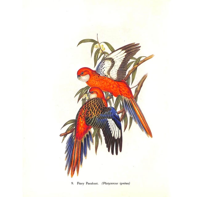 "Tropical Birds" 1948 Sitwell, Sacheverell For Sale In New York - Image 6 of 10