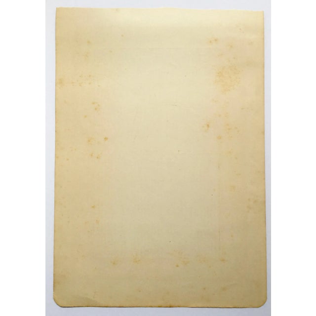 French Country 1907 “Le Faisan Venere” French Photogravure Print of a Reeves Pheasant For Sale - Image 3 of 7