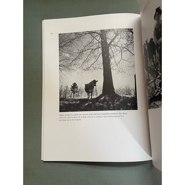 “Night Train at Wiscasset Station” Paperback Book For Sale - Image 11 of 12