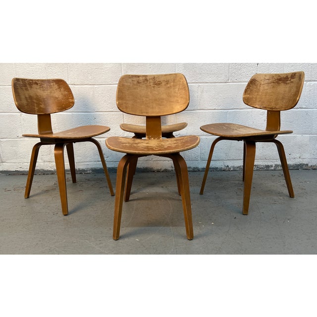 Mid-Century Modern Mid 20th Century Set of Four Elegant Bentwood Chairs by Bruno Weil for Thonet For Sale - Image 3 of 13