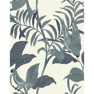 Sample - Large Scale, Tropical Birds Wallpaper by Paule Marrot in Gray and Off-White For Sale