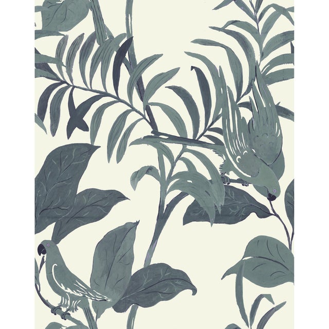 Sample - Large Scale, Tropical Birds Wallpaper by Paule Marrot in Gray and Off-White For Sale