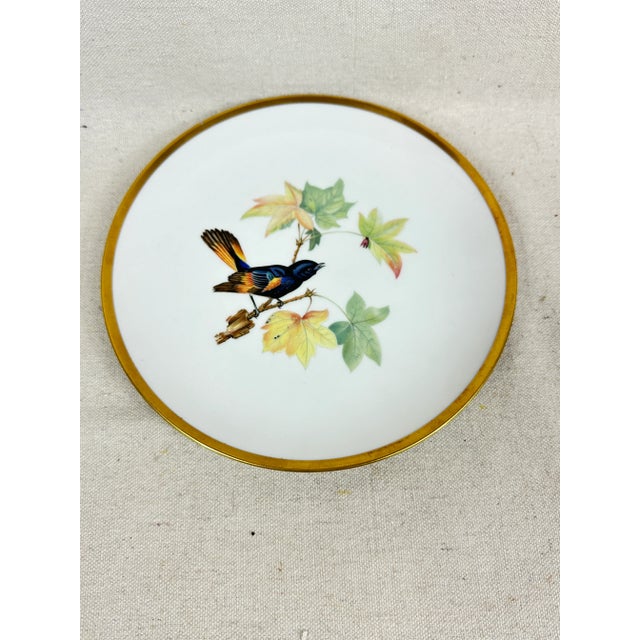Vintage Bavarian Bird Plates For Sale - Image 4 of 9