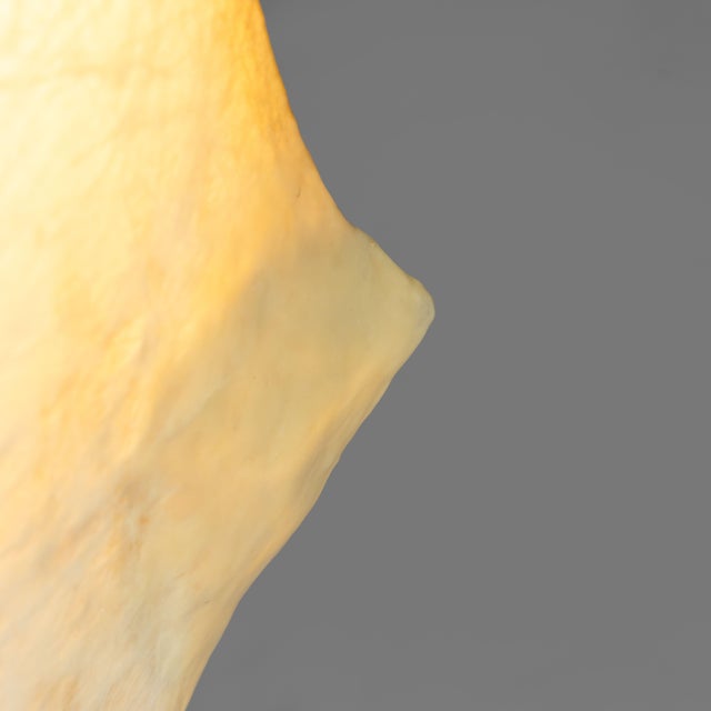 Fantasma Lamp by Tobia Scarpa for Flos, 1961 For Sale - Image 6 of 15