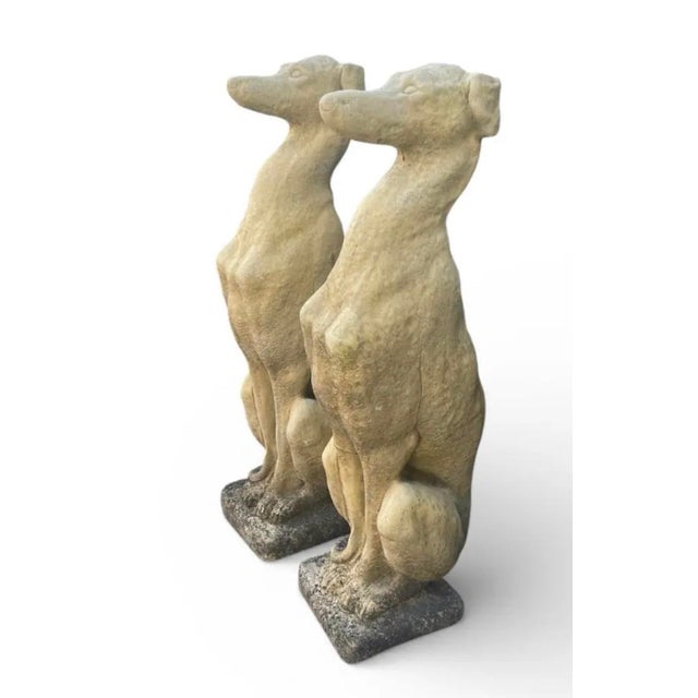 Pair of Cast Stone Seated Greyhound Garden Statues For Sale - Image 4 of 9