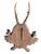 1930s Roe Deer Trophy 158 Black Forest Antlers Mount For Sale - Image 5 of 5