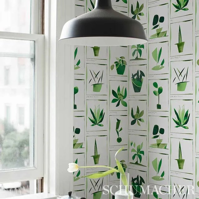 Illustration Schumacher X Peg Norriss Botanicals Wallpaper in Greenhouse - 10 Yards For Sale - Image 3 of 4