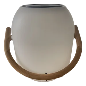 Solar Outdoor Light