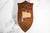 Nice Deer Hoof Wood Shield Mounted Antique English Taxidermy Hunting Trophy For Sale - Image 13 of 14