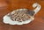 Vintage English Silver Plate Pastry Server For Sale In Philadelphia - Image 6 of 10