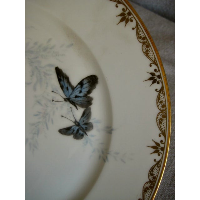 Set of 12 Sevres Botanical Plates, 1874 For Sale - Image 9 of 12