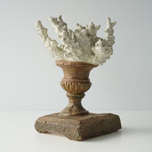 Faux Coral Assemblage on an Antique Italian Urn Decorative Sculpture For Sale - Image 13 of 15