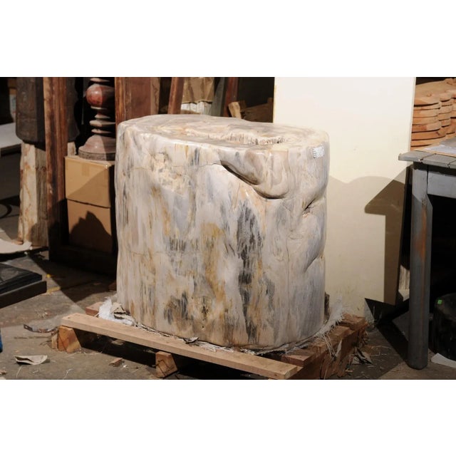 Large Petrified Wood Table Base For Sale - Image 4 of 11