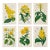 Antique Walter Hood Fitch Hand-Colored Lithograph, Curtis’s Botanical Magazine, 19th Century Six Prints! The Yellow Group For Sale