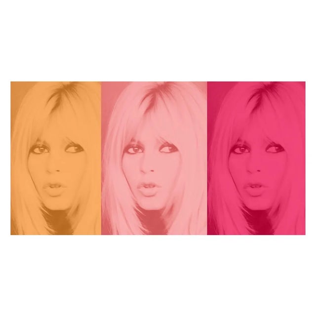 BATIK, Pink Bardot Triptych For Sale