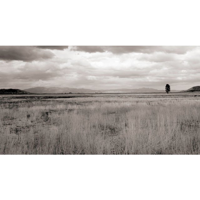 This digital archival print size is 18" x 12" printed on 19" x 13" Vibrance Matte Paper from Breathing Color in Austin,...