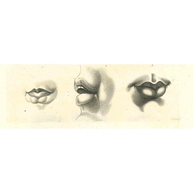 Lips - The Physiognomy is an original etching artwork realized by Thomas Holloway for Johann Caspar Lavater's "Essays on...