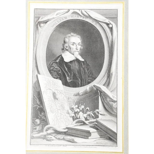 Set of Four Framed George Vertue Portrait Engravings in Neoclassical Gilt Frames For Sale - Image 11 of 12