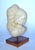 15th Century & Earlier Ancient Chinese Marble Buddha Head For Sale - Image 5 of 10
