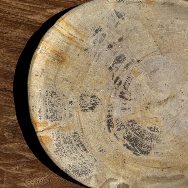 1980s Oval Petrified Wood Trinket Tray with Grey Rings, 1980s For Sale - Image 5 of 9