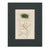 Early 19th Century Set of 6 Antique Hand-Colored Sowerby Seaweed & Marine Algae Botanical Prints For Sale - Image 5 of 8