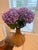 Lavender Lush For Sale - Image 4 of 4